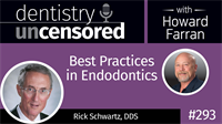 293 Best Practices in Endodontics with Rick Schwartz : Dentistry Uncensored with Howard Farran