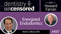 497 Energized Endodontics with Brett Gilbert : Dentistry Uncensored with Howard Farran